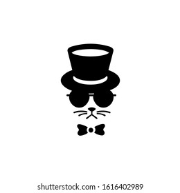 Cat man with a hat and glasses, Vector illustration on white background