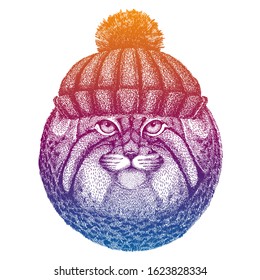 Cat, manul. Ski, skier animal wearing woolen knitted hat. Christmas time. Cartoon character for little children. Kids print for tee