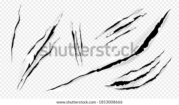 Cat marks, claws scratches isolated vector pets or\
wild animal nails rip, tiger or bear paws sherds on transparent\
background. Lion, monster or beast break, , realistic 3d traces on\
paper texture set