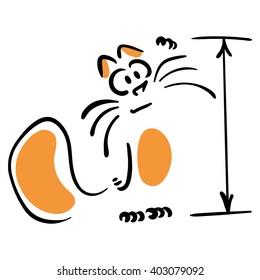 Cat measures growth