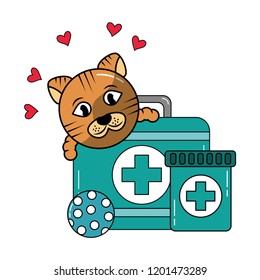 cat medicine and ball pet veterinary care