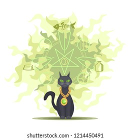 cat medium wizard caused magic signs. stock vector image