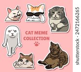 Cat meme sticker illustration vector design