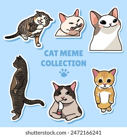 Cat meme sticker illustration vector design