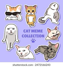 Cat meme sticker illustration vector design