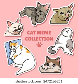 Cat meme sticker illustration vector design