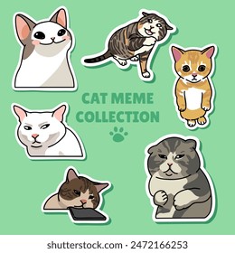 Cat meme sticker illustration vector design