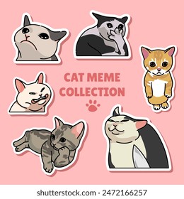 Cat meme sticker illustration vector design