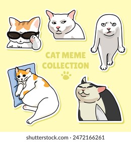 Cat meme sticker illustration vector design