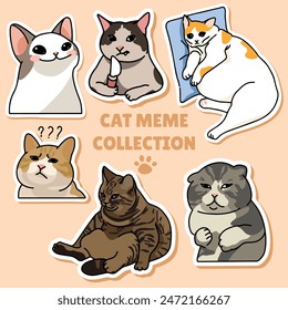 Cat meme sticker illustration vector design