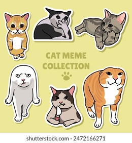 Cat meme sticker illustration vector design