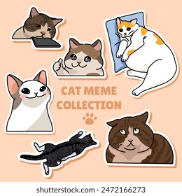 Cat meme sticker illustration vector design