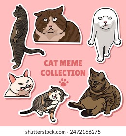 Diseño de Vector de ilustración de meme de gato