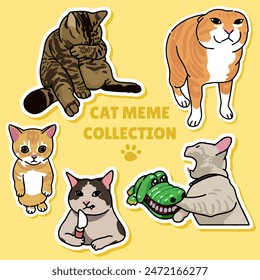 Cat meme sticker illustration vector design