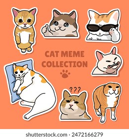 Diseño de Vector de ilustración de meme de gato