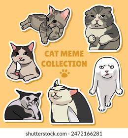 Cat meme sticker illustration vector design