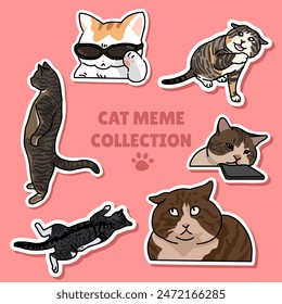 Cat meme sticker illustration vector design