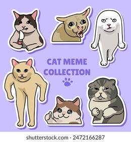 Cat meme sticker illustration vector design