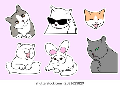 Cat meme sticker illustration vector design