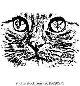 cat cat cat meow face wo art hirt design vector illustration for use in design and print poster canvas