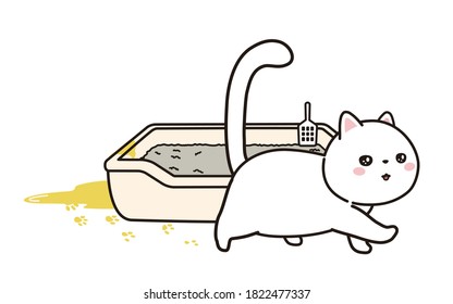 A cat missed pee from the litter box.