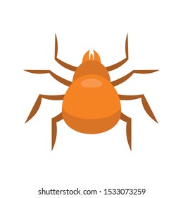 Cat mite icon. Flat illustration of cat mite vector icon for web design