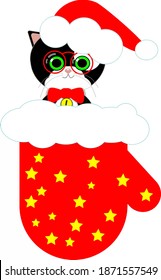 Cat in the mitten santa claus.
