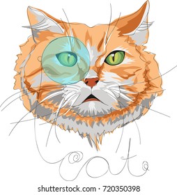 cat with a monocle