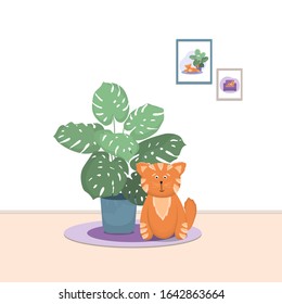 Cat and monstera in the interior. Flat vector illustration