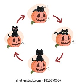 Cat mood cycle on white background. Black cat sleeping on pumpkin, woken up cat, happy and angry kitty. Happy Halloween holiday vector illustration.