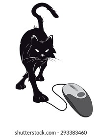 cat and mouse