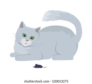 Cat with mouse, Cute grey cat playing with toy flat vector illustration isolated on white background. Purebred pet. Domestic friend and companion animal. For pet shop ad, hobby concept, breeding