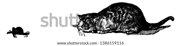 Cat Mouse Fighting Vintage Line Drawing Stock Vector Royalty Free
