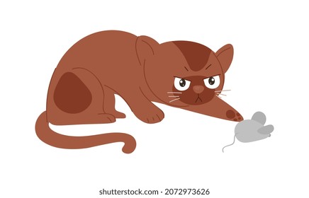 Cat with mouse. Kitten hunts for toy. Owners entertain their pet. Development of hunting instincts, curiosity, interest, nature. Chase, house, apartment, evening. Cartoon flat vector illustration