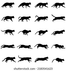 cat movements vector shihouette collection