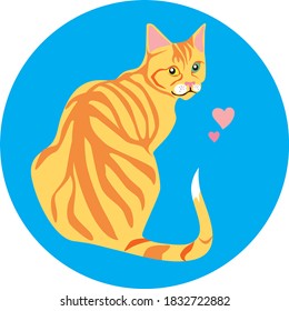 A cat with multicolored eyes. Vector illustration