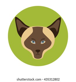 Cat muzzle color flat icon