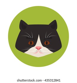 Cat muzzle color flat icon