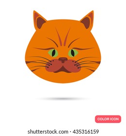 Cat muzzle color flat icon