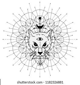 Cat muzzle with mystic symbols against sacred geometry background. Esoteric, occult and Halloween concept, mystic vector illustrations for music album, book cover, t-shirts