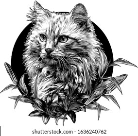 cat muzzle round composition decorated with Lily flowers, sketch vector graphics monochrome illustration on a white background