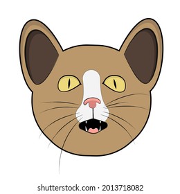 Cat muzzle vector illustration. Brown color cat.