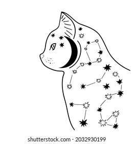 Cat. Mystical print. Vector illustration.