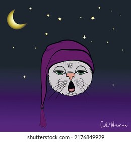 A Cat Named Norman Is Getting Ready For Bed. He Has A Sleeping Cap On. In The Background The Night Sky, Moon And Stars