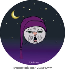 A Cat Named Norman Is Getting Ready For Bed. He Has A Sleeping Cap On. In The Background The Night Sky, Moon And Stars