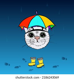 a cat named Norman and rain. the cat is not afraid of rain, because he has an excellent umbrella and rubber boots