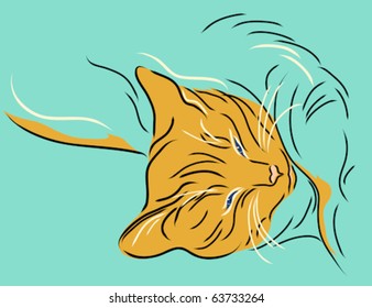 Cat napping done in a  linear style
