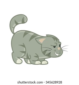 Cat Naughty 