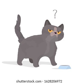 Cat near an empty toe in perplexity. The cat asks to eat. Vector illustration.