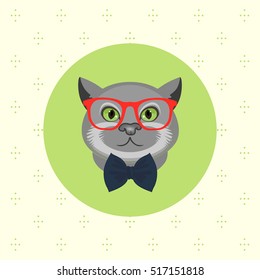  cat, new Year